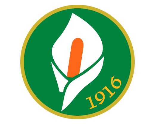Irish Volunteers Stick pin Badge 1913-1923 